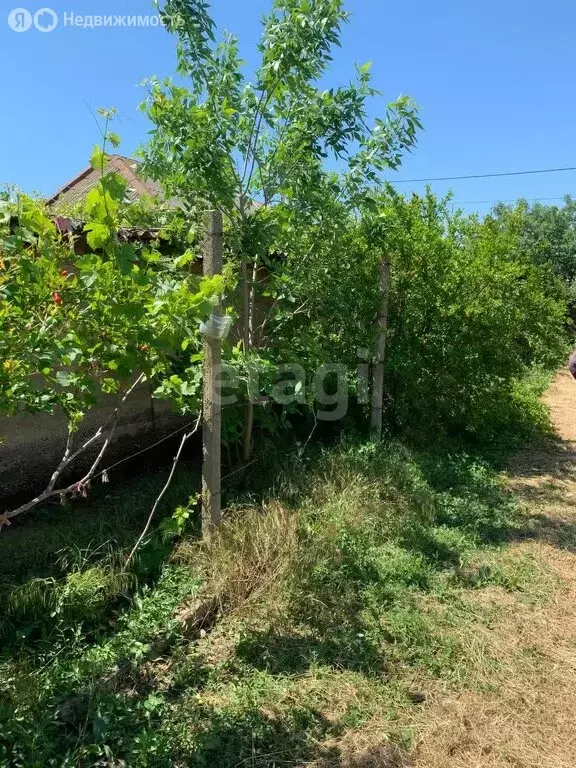 Участок в Межводненское сельское поселение, село Снежное (25 м) - Фото 0