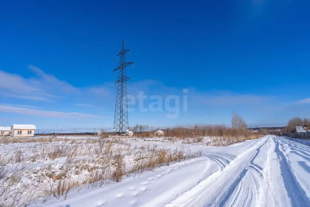 Участок в Хабаровский край, Хабаровский район, Тополевское с/пос, с. ... - Фото 2