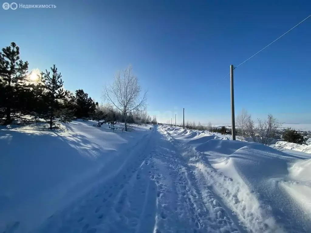 Участок в Кочкуровский район, село Новая Пырма (10 м) - Фото 1