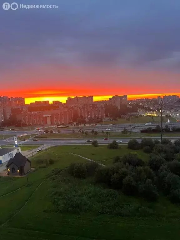 Квартира-студия: Санкт-Петербург, Витебский проспект, 99к1 (23.2 м) - Фото 2