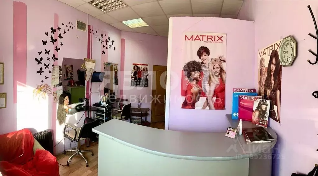 Помещение свободного назначения в Пермский край, Березники ул. Мира, ... - Фото 2