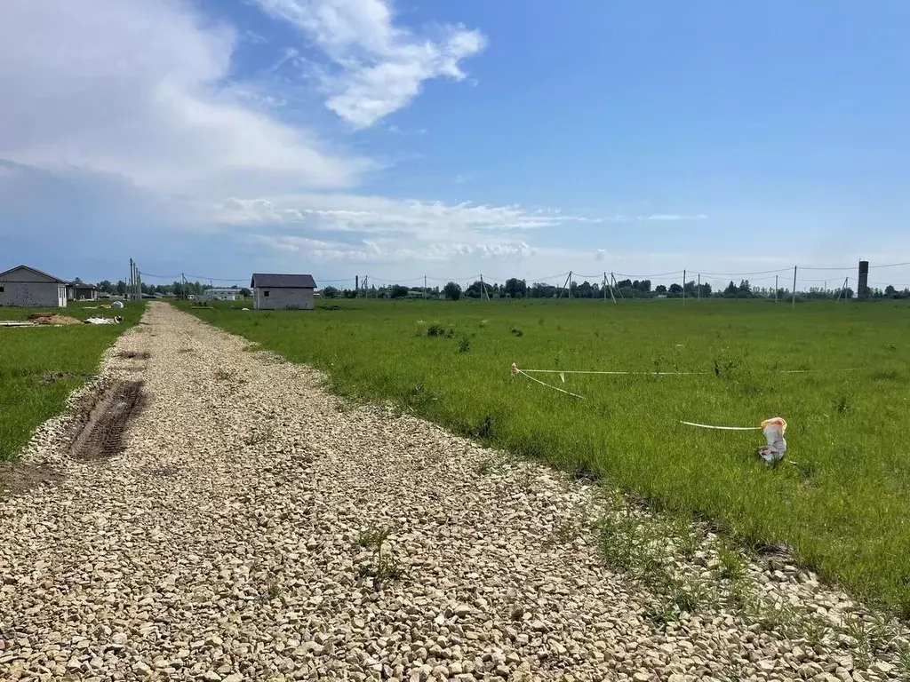 Участок в Ленинградская область, Волосовский район, Калитинское с/пос, ... - Фото 2