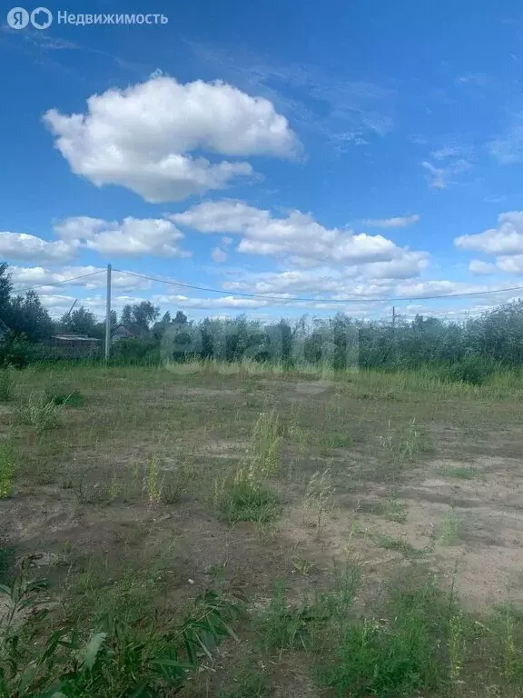 Участок в Тюмень, садовое товарищество Мелиоратор, улица Берёзка (8 м) - Фото 1