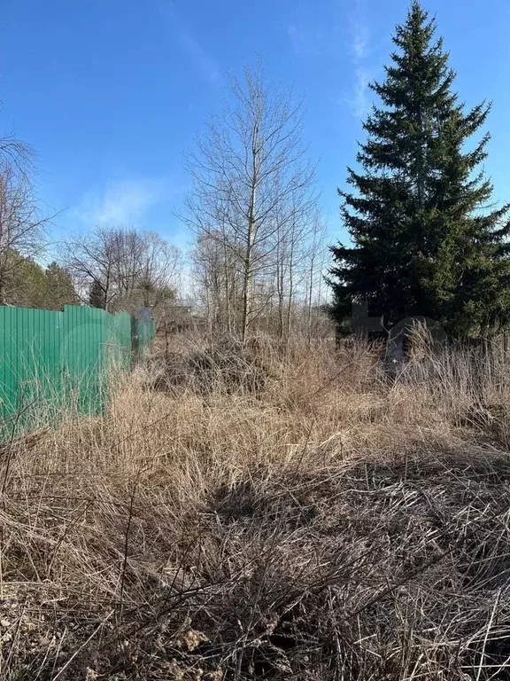 Участок 10,4 сот. (ИЖС) - Фото 1