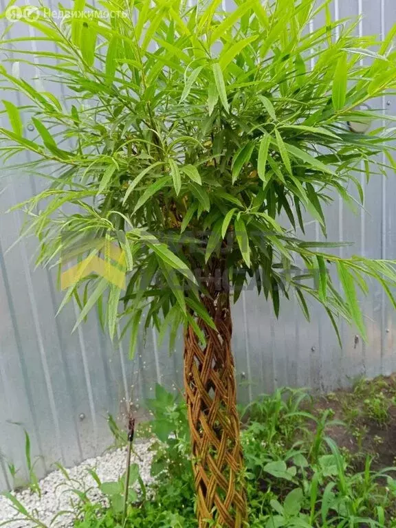 Дом в Омск, 2-я Енисейская улица, 18 (60 м) - Фото 2