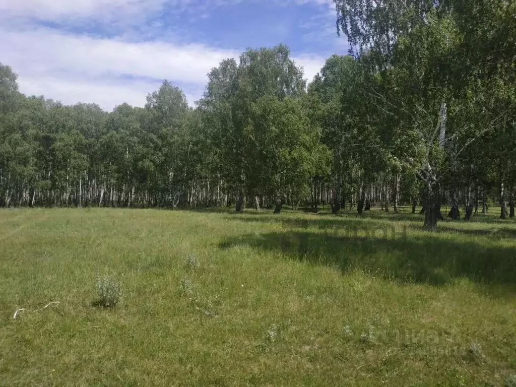 Участок в Челябинская область, Аргаяшский район, Камышевское с/пос, д. ... - Фото 0