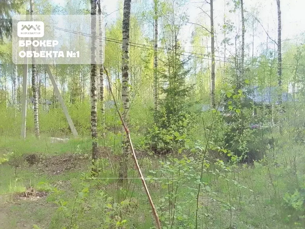 Участок в Ленинградская область, Всеволожск Новая ул., 32 (13.0 сот.) - Фото 0
