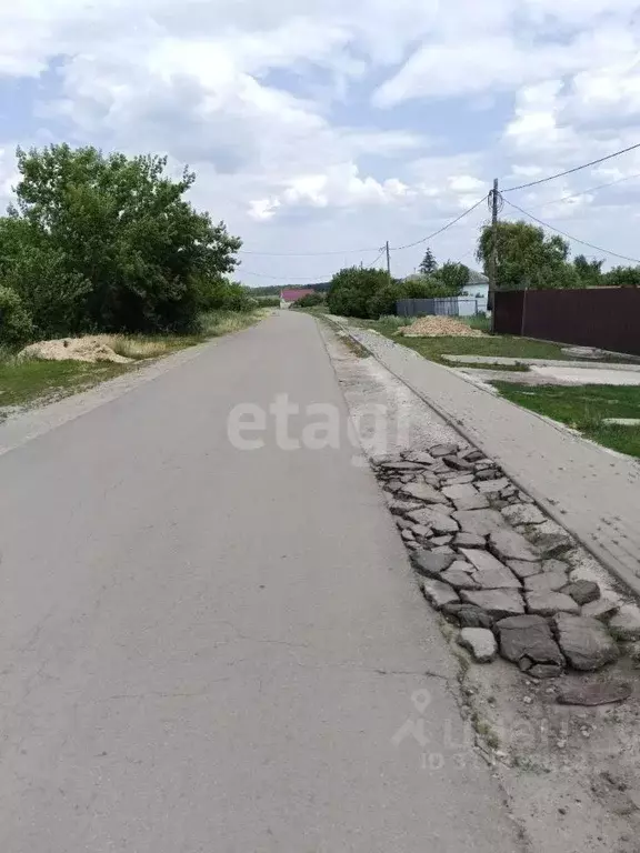 Участок в Воронежская область, Рамонский район, с. Русская Гвоздевка ... - Фото 0