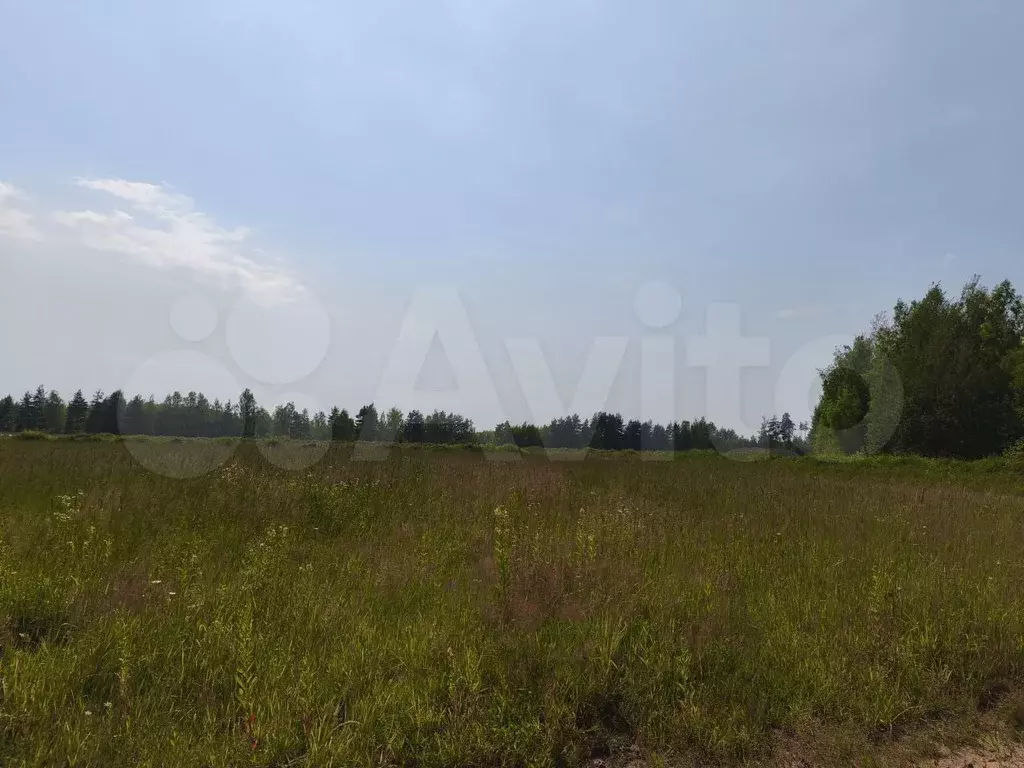 Участок 4,6 сот. (ИЖС) - Фото 1