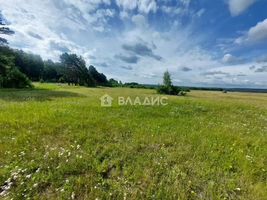 Участок в Иркутская область, Ангарский городской округ, д. Зуй ул. ... - Фото 1