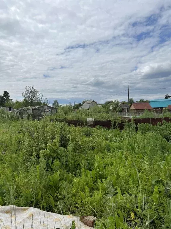 Участок в Курганская область, Курган ул. Красина, 1А (284.0 сот.) - Фото 1