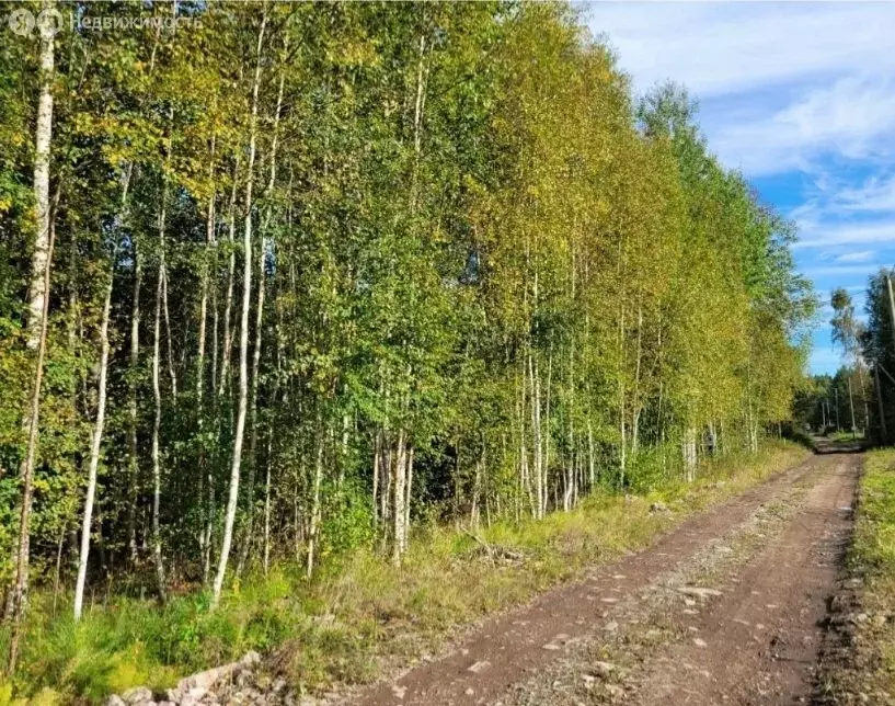 Участок в Выборгский район, Приморское городское поселение, ТСН ... - Фото 2