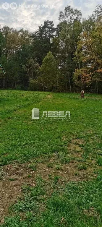 Участок в Московская область, муниципальный округ Чехов, деревня ... - Фото 1