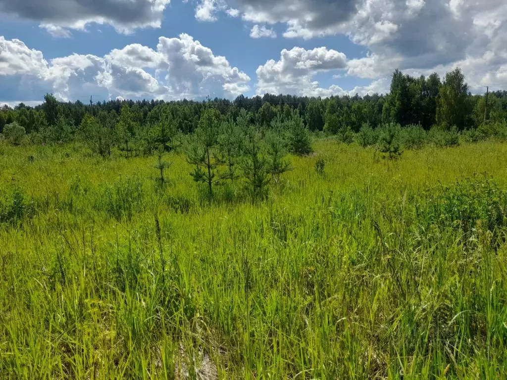 Участок в Тверская область, Калининский муниципальный округ, д. ... - Фото 1