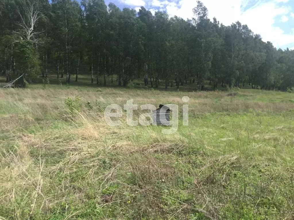 Участок в Мордовия, с. Кочкурово  (30.0 сот.) - Фото 1