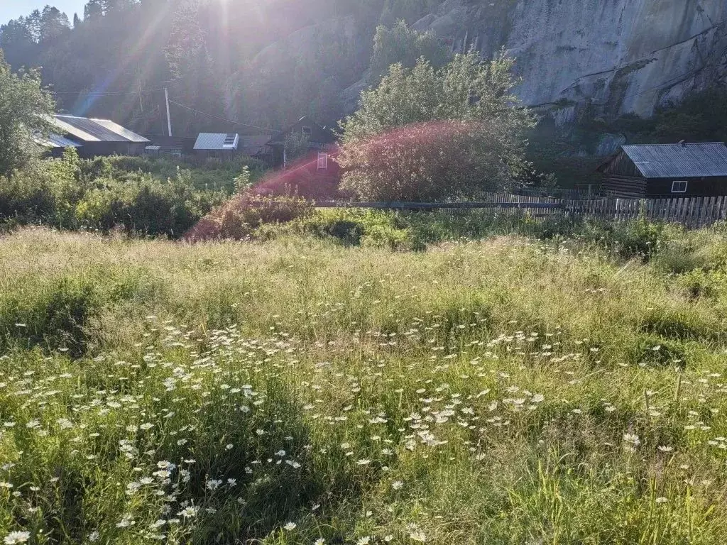 Участок в Алтай, Турочакский район, с. Турочак Советская ул. (16.0 ... - Фото 2