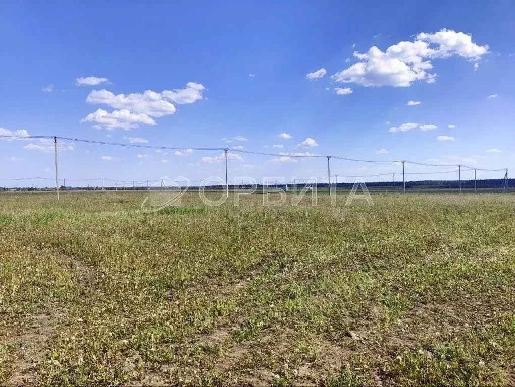 Участок в Тюменская область, Тюмень На Липовом кп, ул. Николая Егорова ... - Фото 2