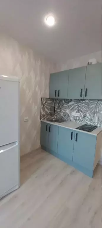 1-к кв. Ленинградская область, Мурино Всеволожский район, ул. Шоссе в ... - Фото 1