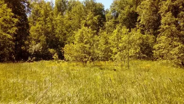 Продается участок в д. Веселево - Фото 1