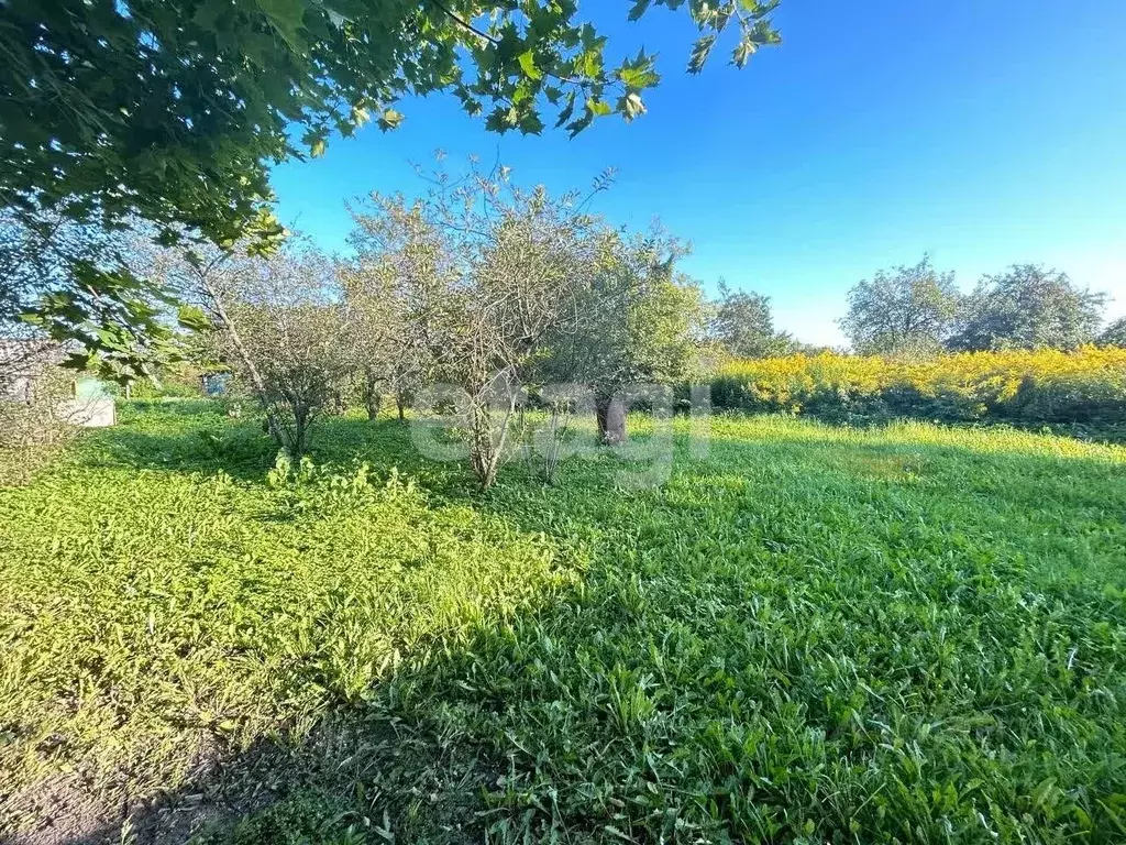 Участок в Костромская область, Кострома Труженик-2 садоводческое ... - Фото 2