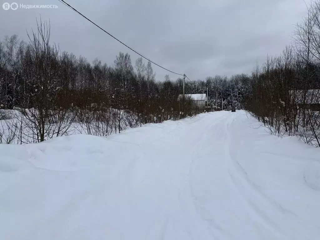 Участок в Владимирская область, Александровский муниципальный округ, ... - Фото 1