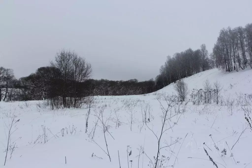 Участок в Москва № 345 кв-л,  (11.14 сот.) - Фото 2