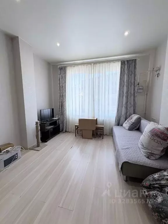 Студия Краснодарский край, Сочи ул. Тимирязева, 52/7 (27.4 м) - Фото 1