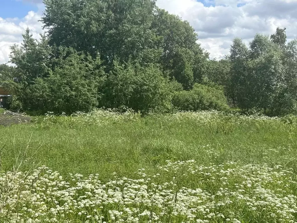 Участок в Московская область, Ступино городской округ, с. Вихорна ул. ... - Фото 2