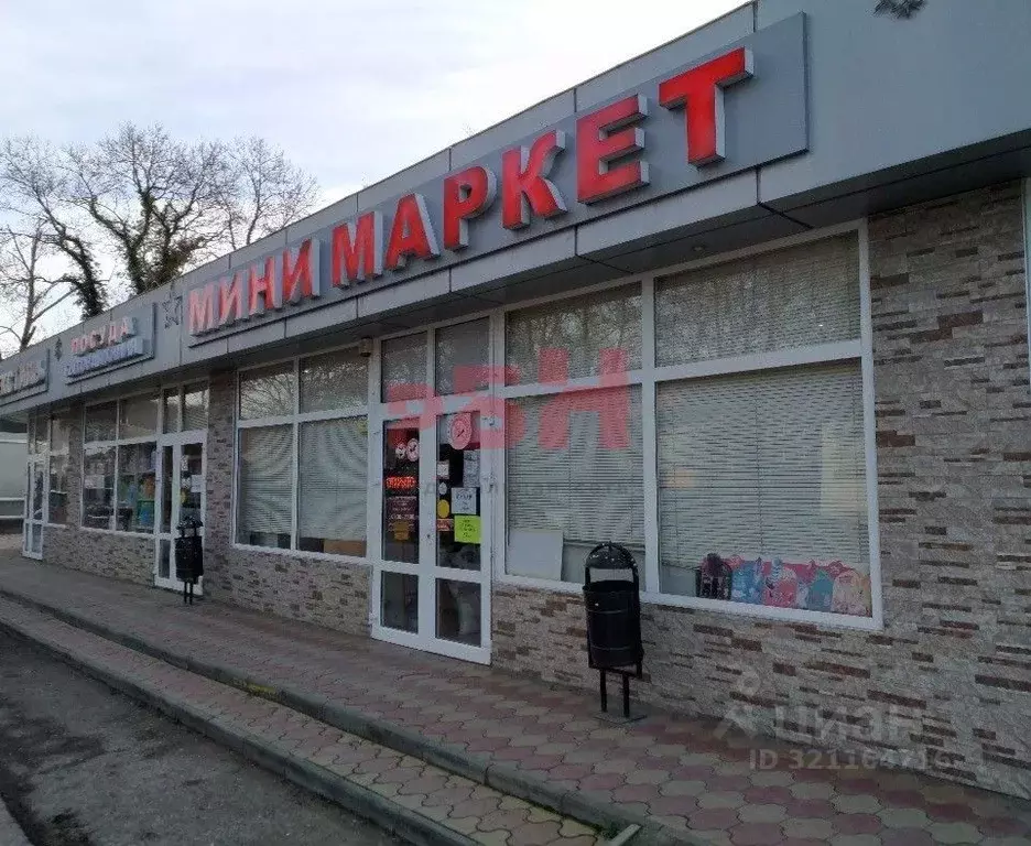 Торговая площадь в Воронежская область, Воронеж ул. Летчика ... - Фото 0