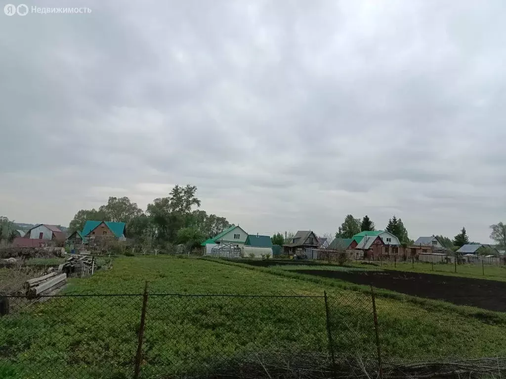Участок в деревня Крючевка, Родниковая улица, 7 (15 м) - Фото 2