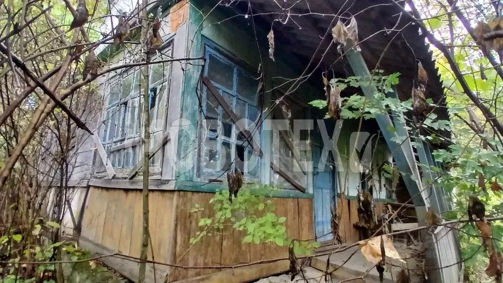 Участок в Краснодарский край, Апшеронский район, Куринское с/пос, пос. ... - Фото 2