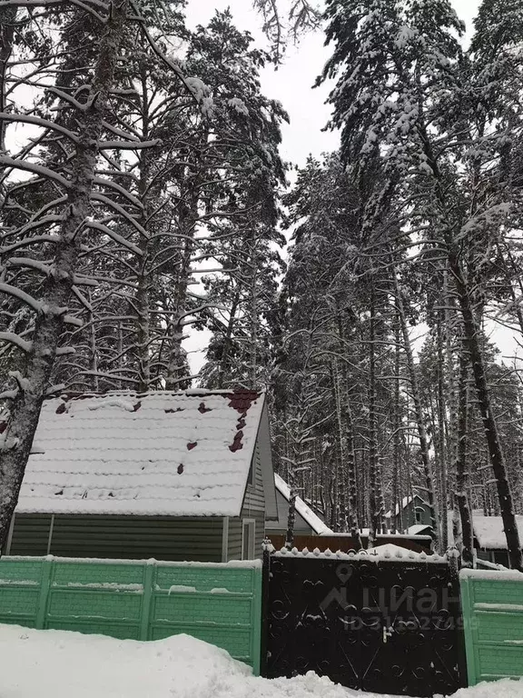 Дом в Белгородская область, Шебекинский муниципальный округ, с. Новая ... - Фото 0