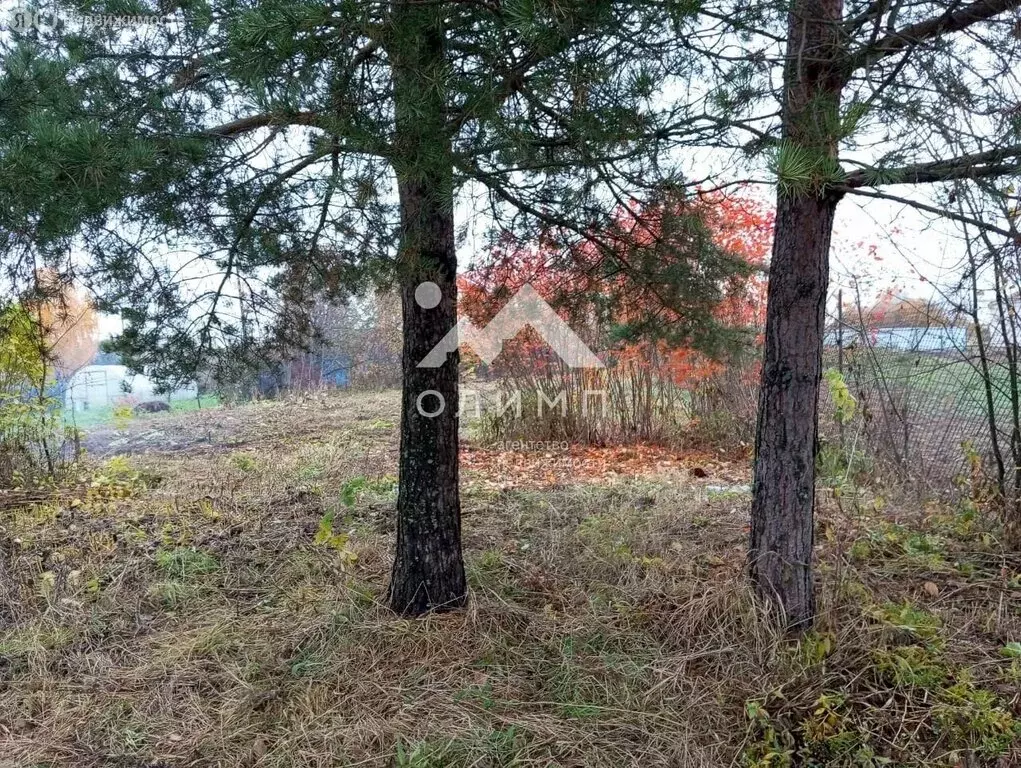 Участок в Вологодский муниципальный округ, деревня Маурино (Подлесный ... - Фото 1