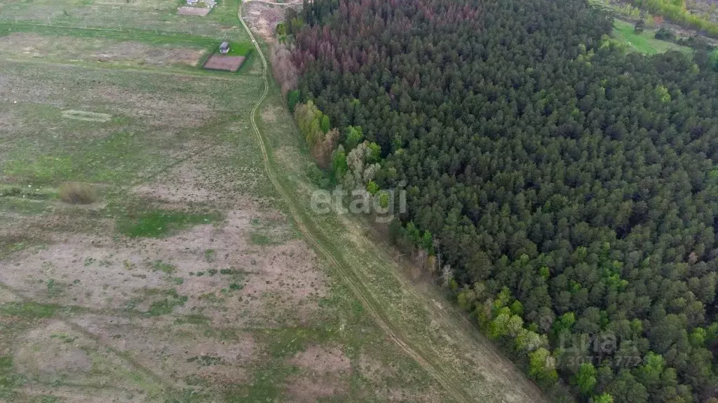 Участок в Тюменская область, Тюменский район, с. Салаирка  (8.0 сот.) - Фото 0