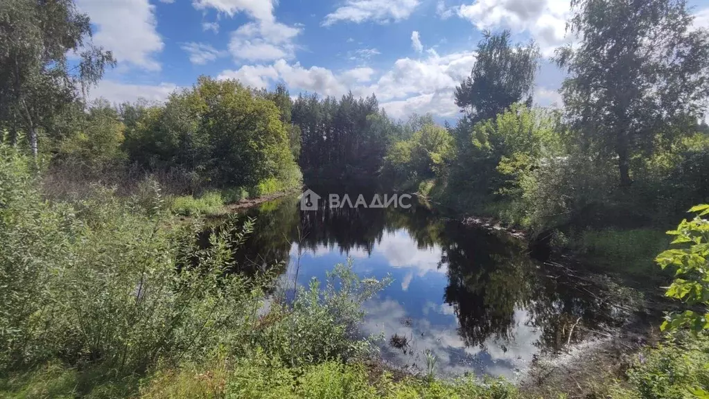 Участок в Московская область, Луховицы муниципальный округ, д. Ольшаны ... - Фото 2