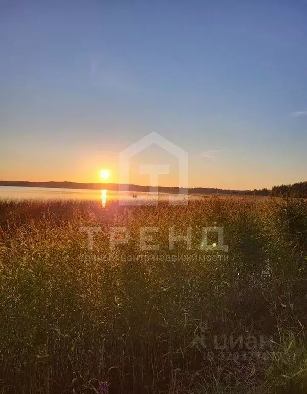 Участок в Ленинградская область, Выборг проезд Средний Лесной, 14 ... - Фото 1
