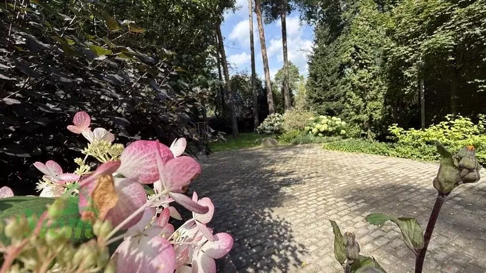 Дом в Московская область, Раменский муниципальный округ, Кратово пгт ... - Фото 1