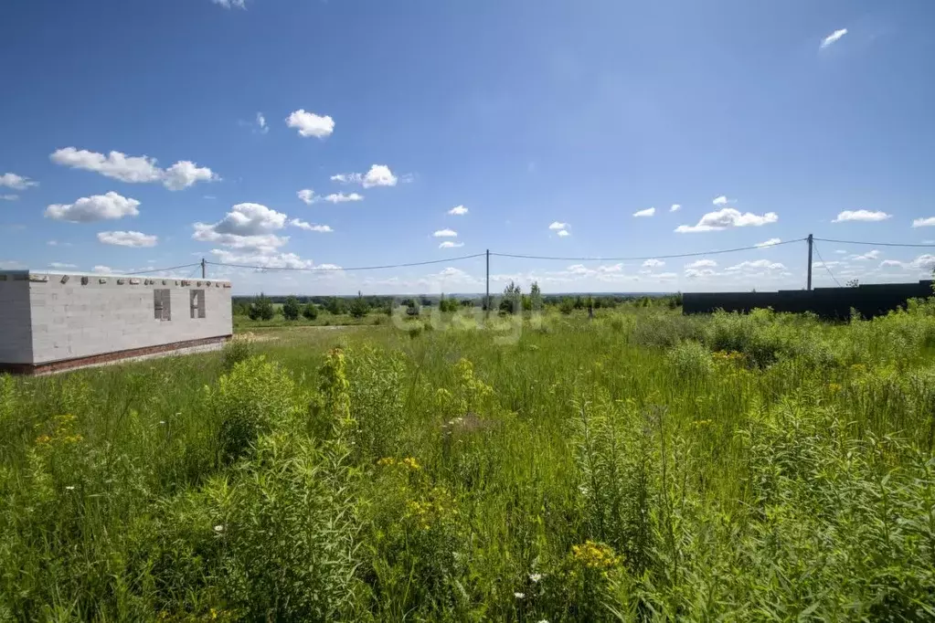 Участок в Нижегородская область, Богородский муниципальный округ, с. ... - Фото 0