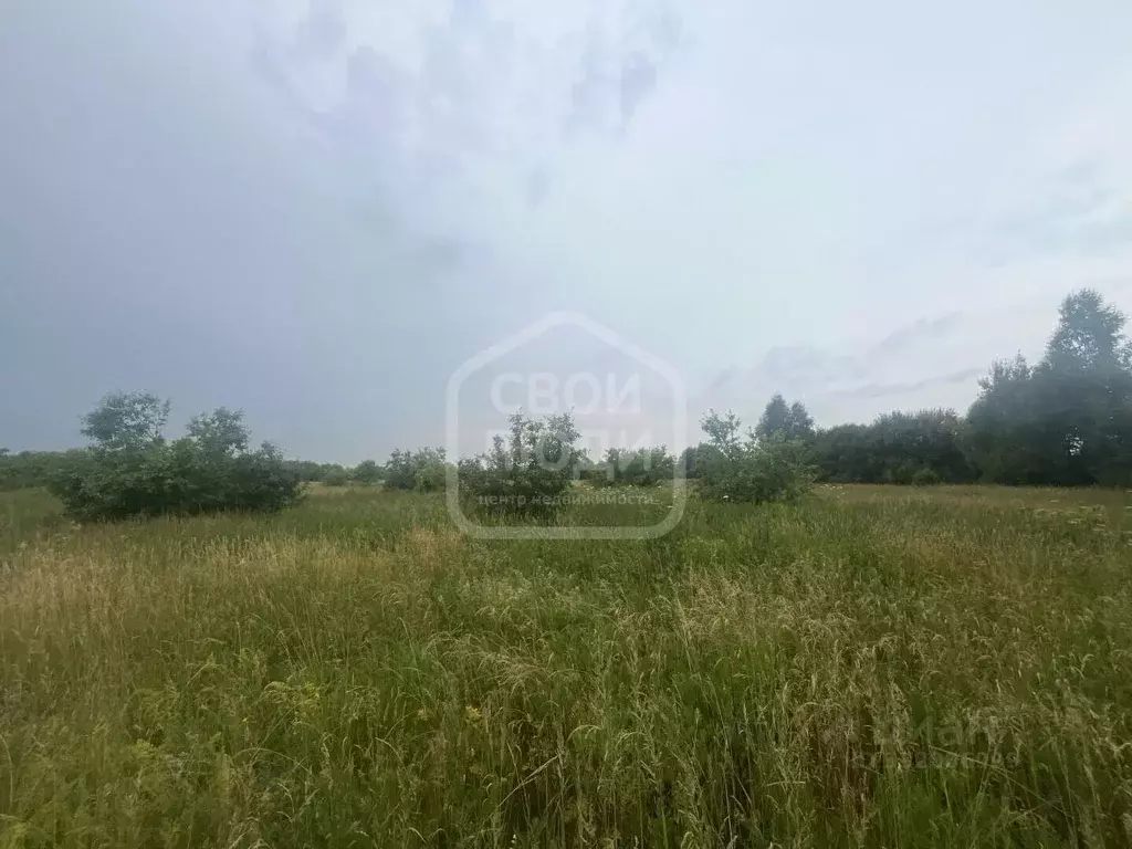 Участок в Рязанская область, Рязанский муниципальный округ, пос. ... - Фото 2