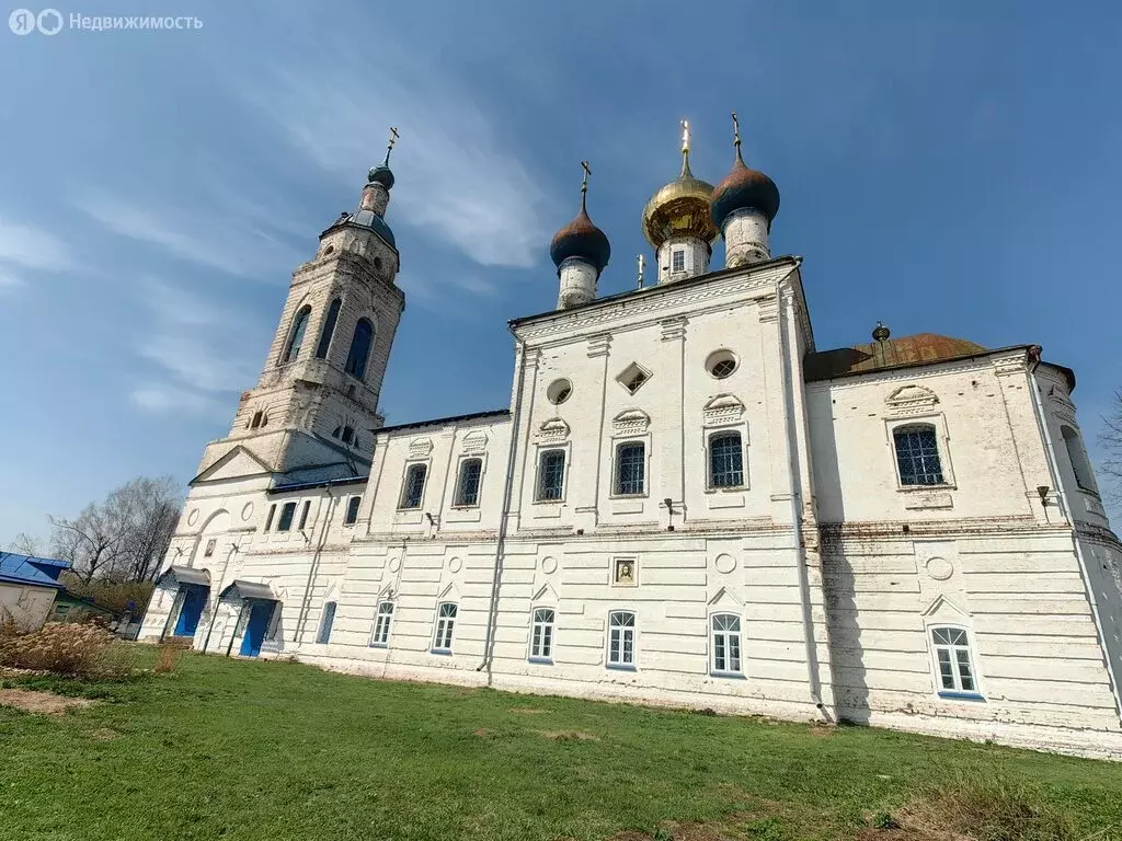 Участок в Владимирская область, Камешковский муниципальный округ, село ... - Фото 2