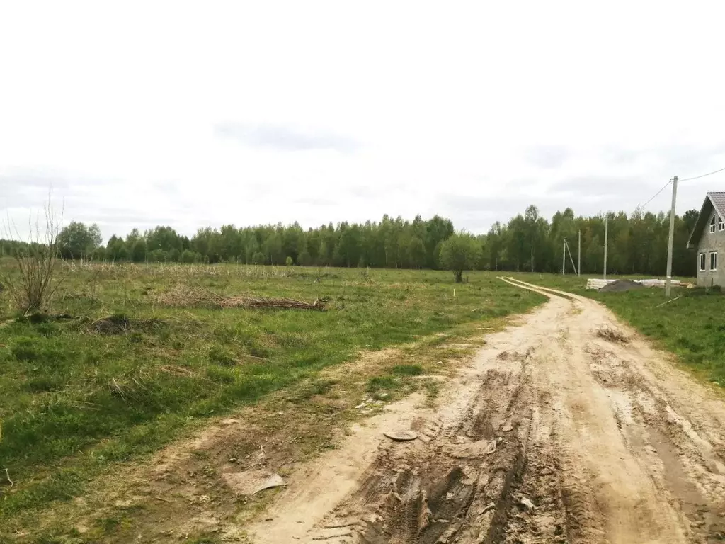 Участок в Нижегородская область, Вознесенский район, Сельское ... - Фото 0