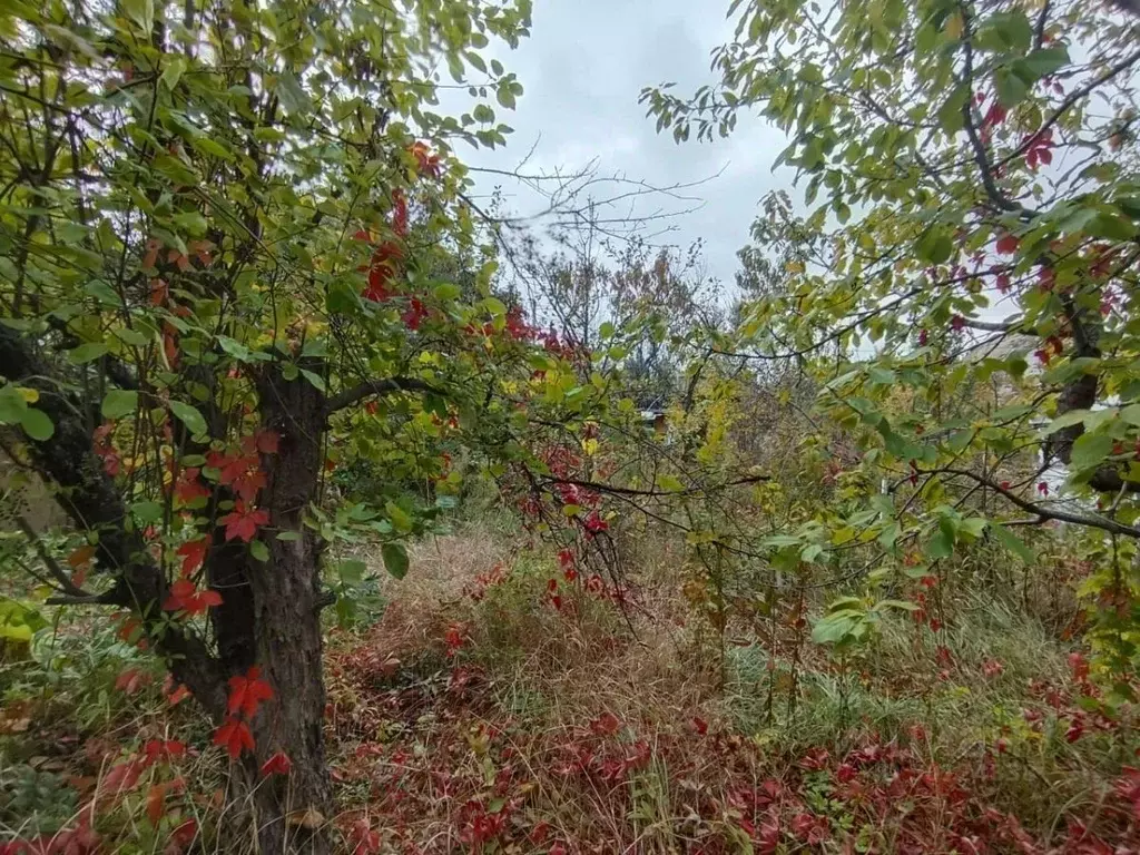 Дом в Волгоградская область, Городищенский район, Ерзовское городское ... - Фото 1