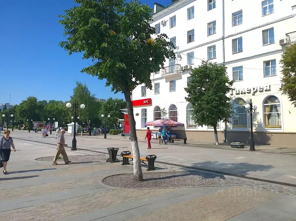 Помещение свободного назначения в Пензенская область, Пенза Московская ... - Фото 1