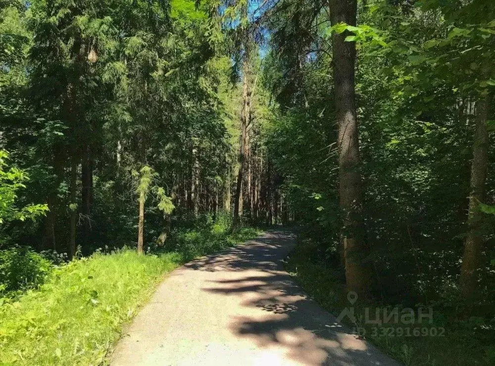 Участок в Московская область, Солнечногорск городской округ, Лисичкин ... - Фото 2