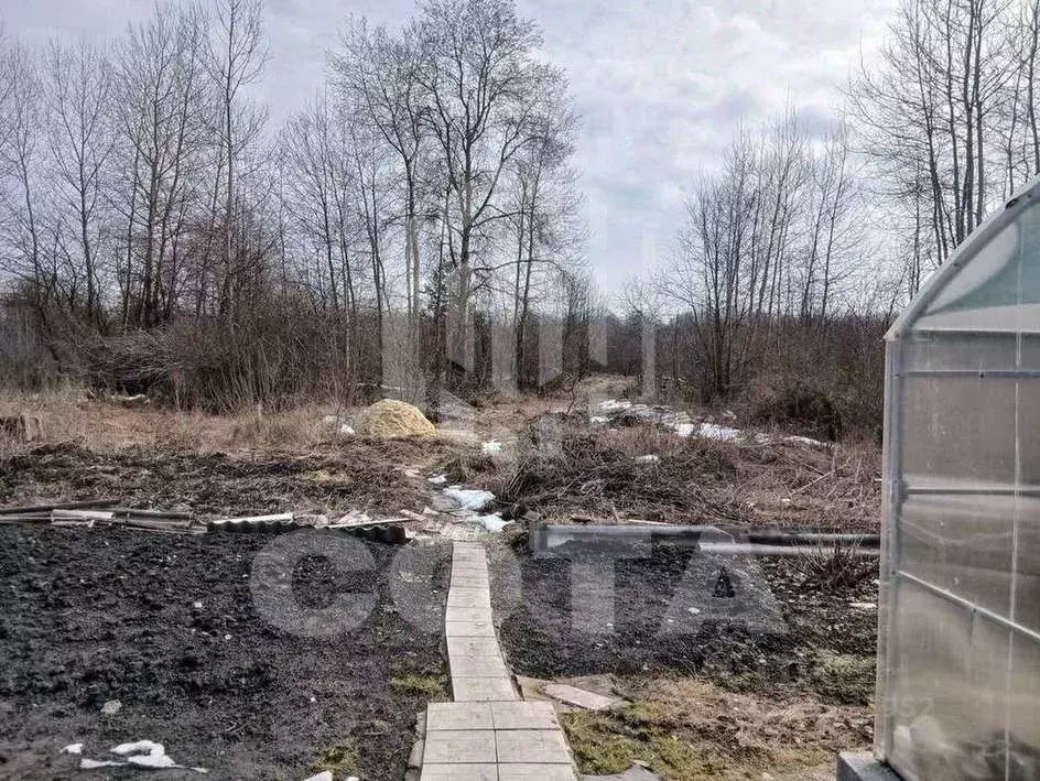 Участок в Воронежская область, Рамонь рп ул. Чапаева, 62А (16.0 сот.) - Фото 2