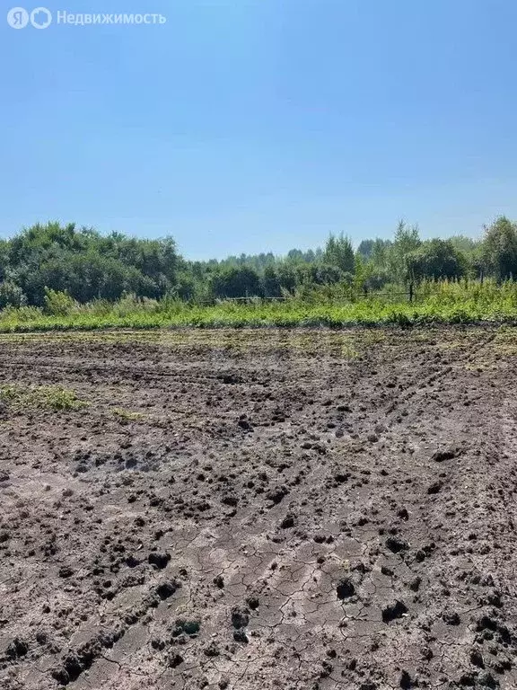 Участок в посёлок Елань, Советская улица (2050 м) - Фото 2