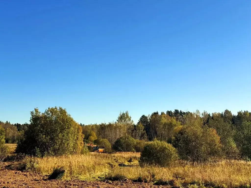 Участок в Московская область, Дмитровский муниципальный округ, Акация ... - Фото 2