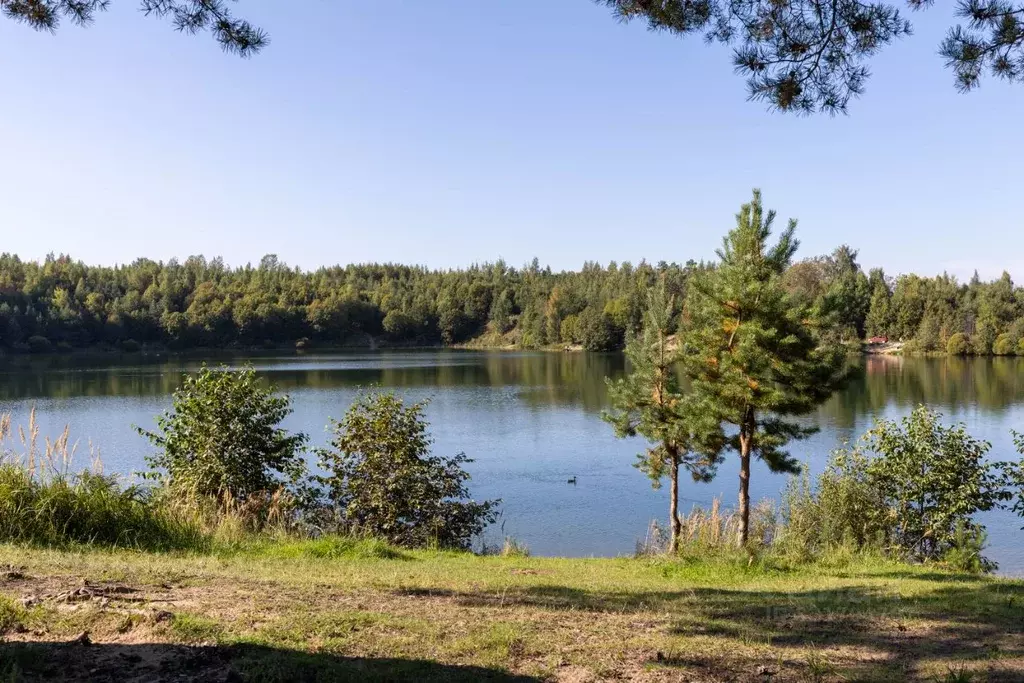 3-к кв. Ленинградская область, Всеволожский район, Романовское с/пос, ... - Фото 1
