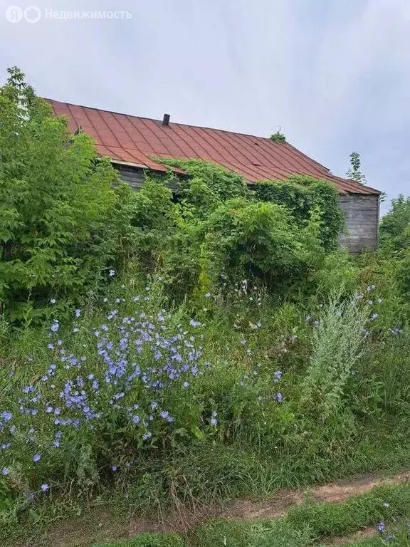 Дом в Новодевичье, село Новодевичье, Ленинградская улица, 58 (35 м) - Фото 1