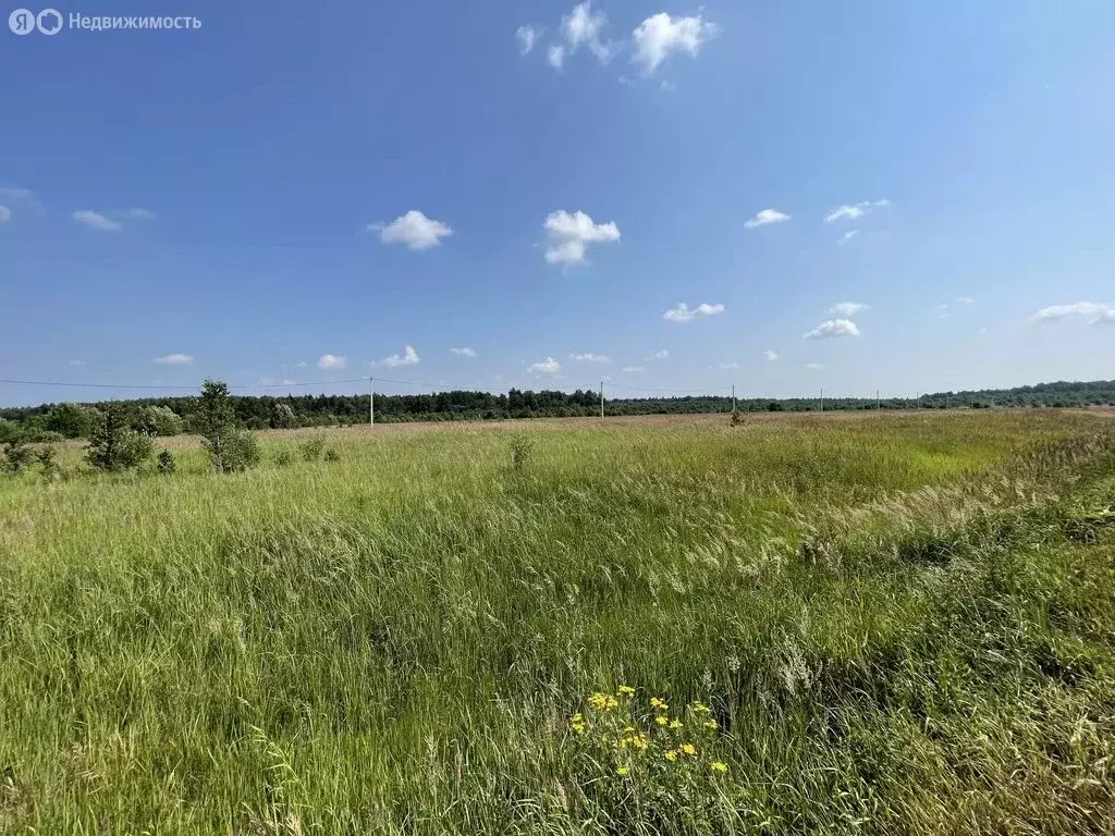 Участок в Владимирская область, Александровский муниципальный округ, ... - Фото 0